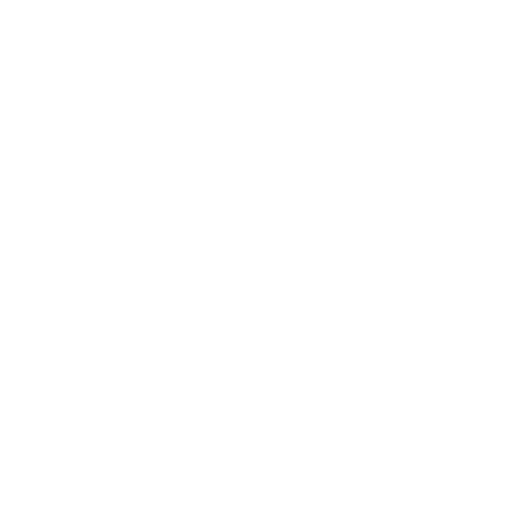 Dylan’s white stippled portrait